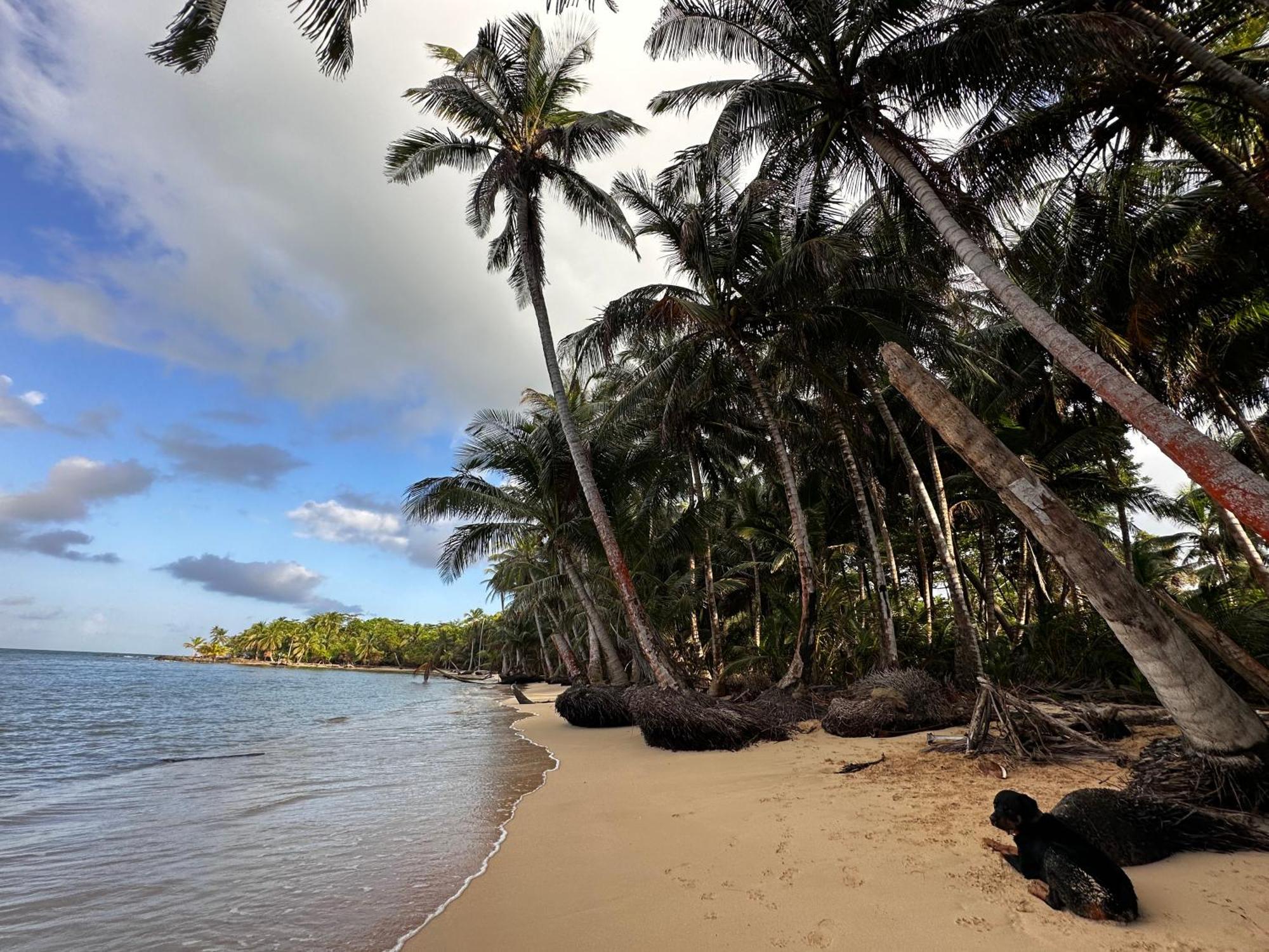 Ensuenos Natural Reserve Little Corn Island Nicaragua Exteriör bild